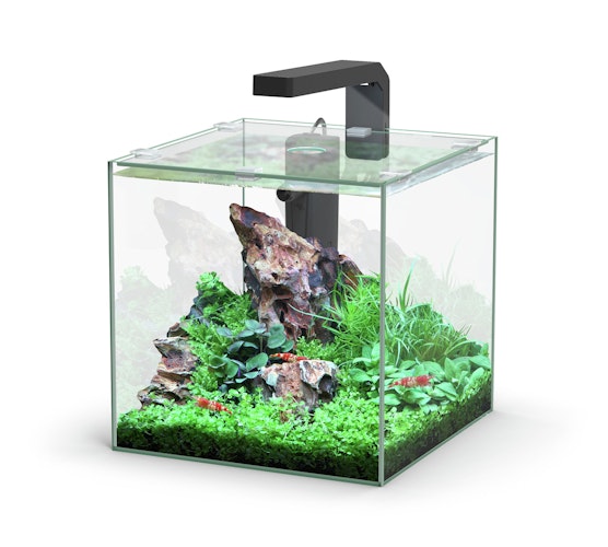 Aquatlantis Kubus LED Aquarium-Set