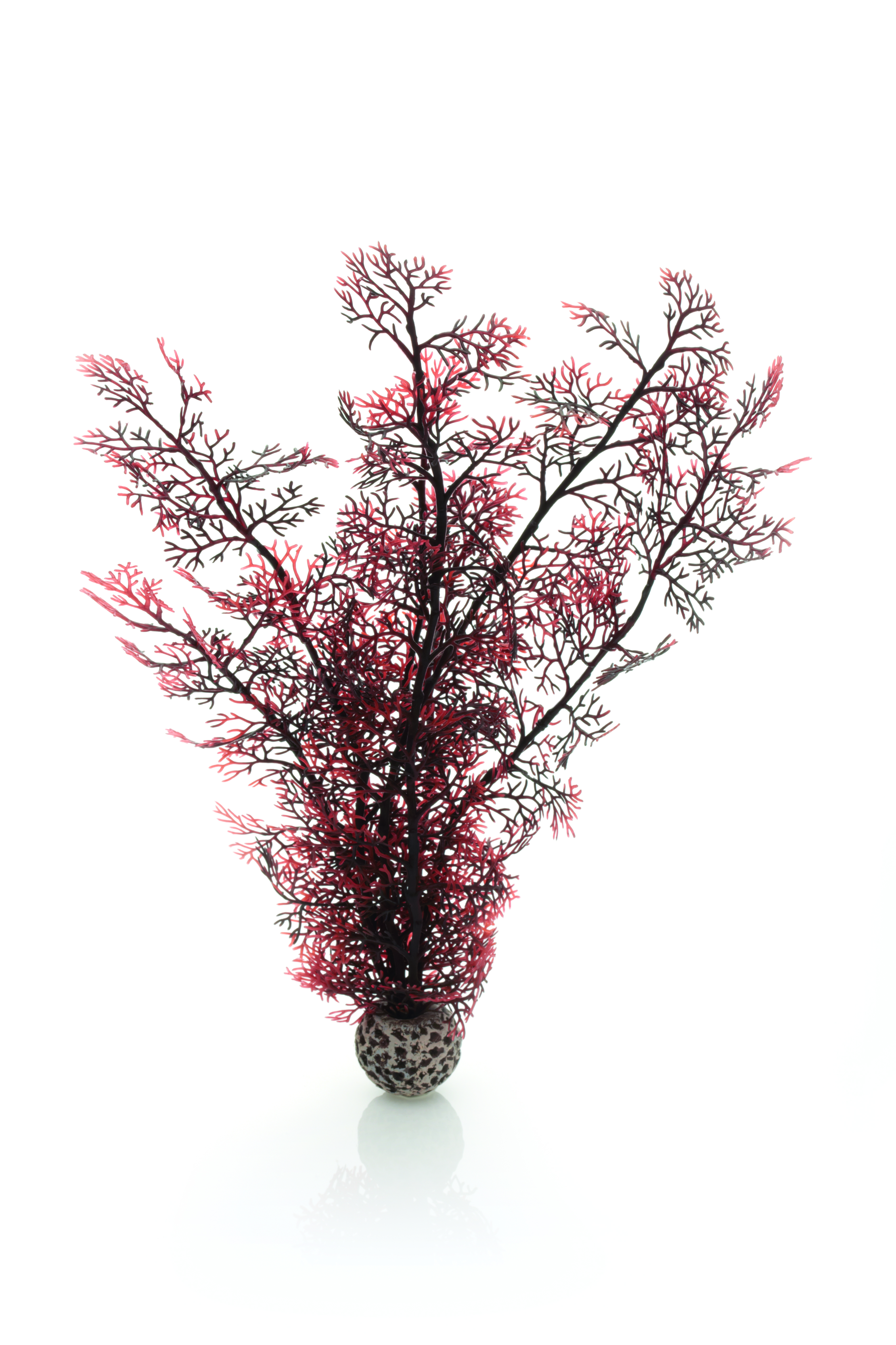 biOrb Hornkoralle groß dunkelrot (46073)