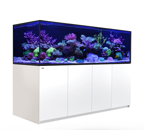 Red Sea REEFER™ S-1000 G2+ Complete System