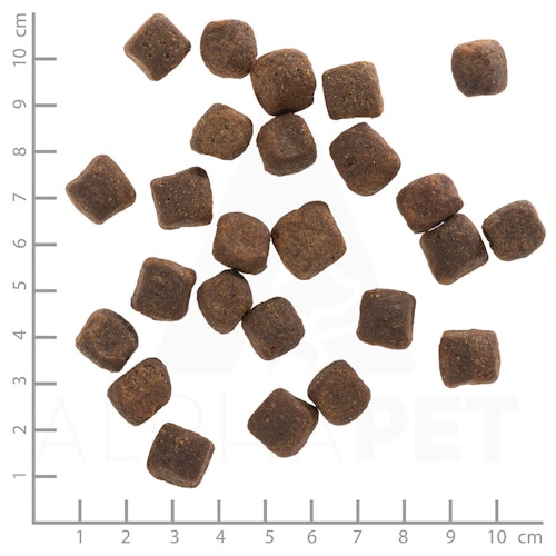 WOLFSBLUT Dark Forest Wildfleisch mit Süßkartoffeln Hundetrockenfutter