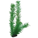 Vorschaubild HOBBY Plant Egeria 34 Centimeter Aquarieneinrichtung