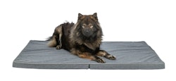TRIXIE Matratze Samoa Vital, faltbar, wasserabweisend, 140 × 90 cm, dunkelgrau