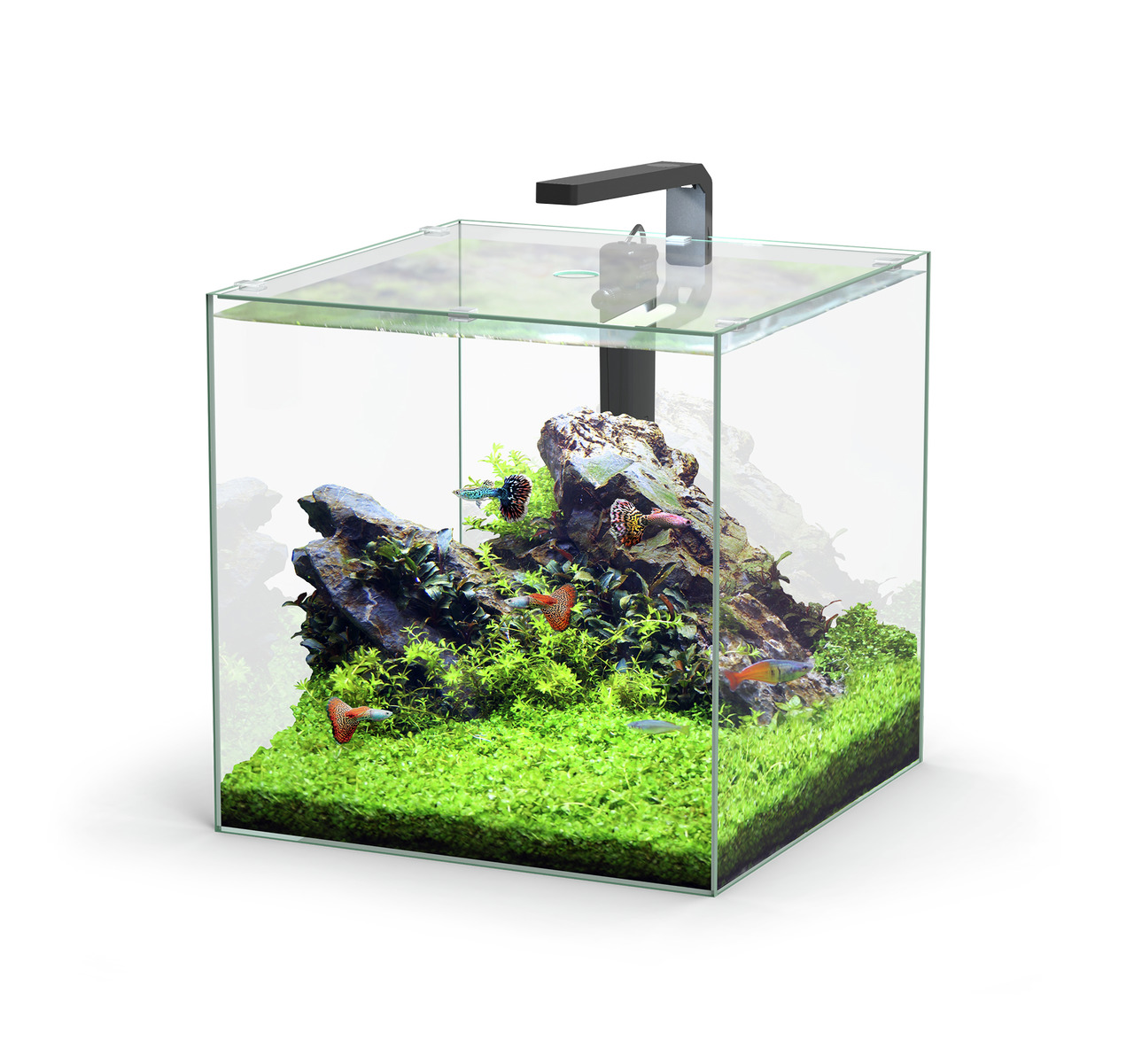 aquatlantis Kubus LED 54 Liter Aquarienset