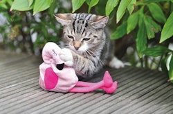 Aumüller Flamingo Pinky Baldrian-/ Dinkelkatzenspielkissen