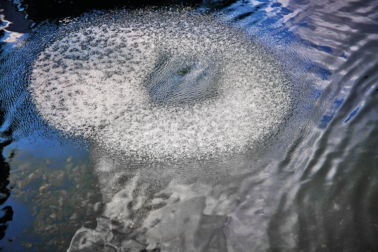 Oase Belüfterring D 60 für AquaOxy