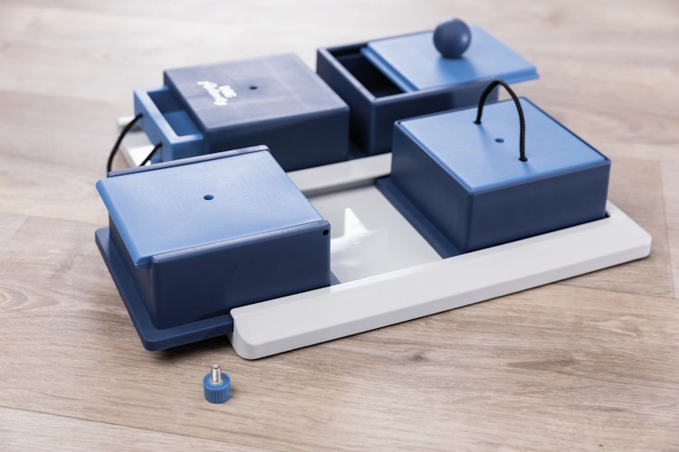 TRIXIE Dog Activity Poker Box Hundespielzeug