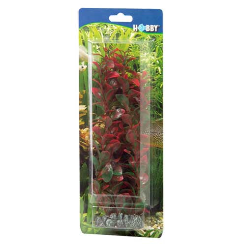 HOBBY Plant Ludwigia Aquarieneinrichtung