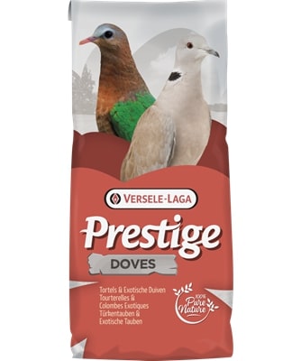 Vers 20kg Turteltauben