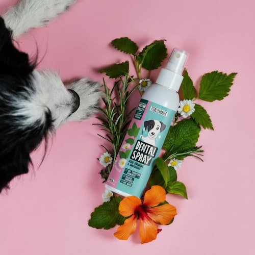 Tierliebhaber Dentalspray für Hunde