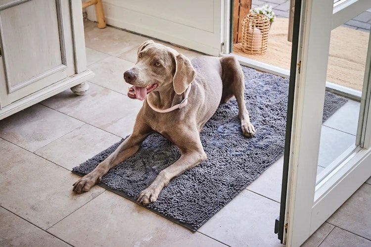 Wolters Cleankeeper Runner dunkelgrau Hundematte