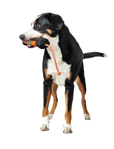 HUNTER Snackdummy Trainer mit Seil Gürteltasche