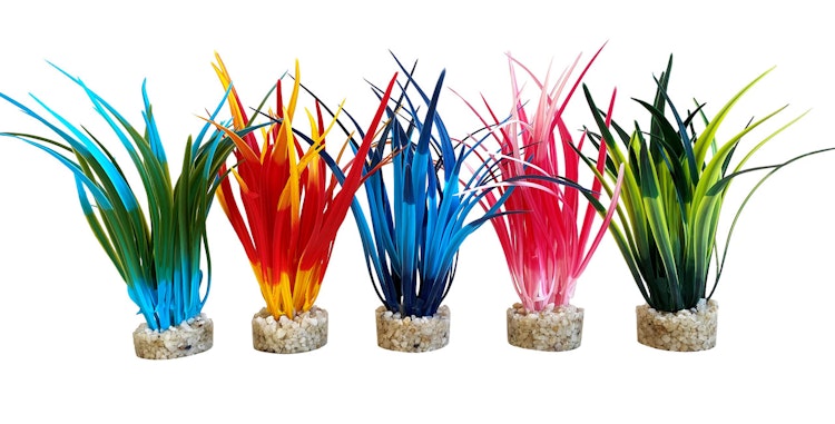 Sydeco Papyrus Medium 15 Zentimeter Aquariendekoration