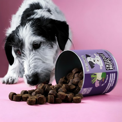 Tierliebhaber Chillout Drops