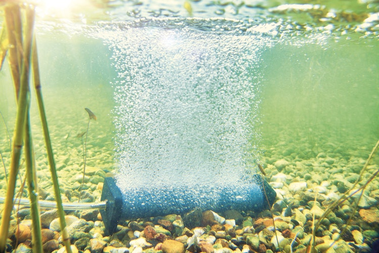 Oase Belüfterszab S für AquaOxy