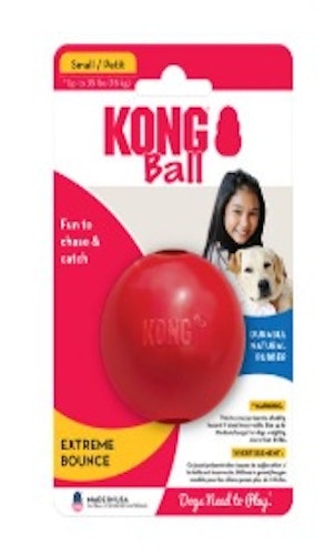 KONG Dog-Toy Mixpaket Nr.4 S Hundespielzeug