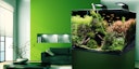 Vorschaubild DENNERLE Nano Scaper's Tank 70 Liter Aquarium