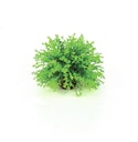 Vorschaubild biOrb Blumenball grün (46087)
