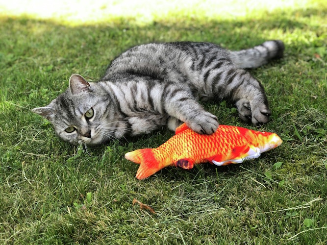 Aumüller Zappelfisch 35cm Katzenspielkissen