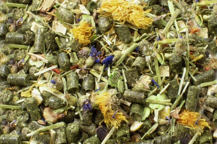 JR FARM Degu-Schmaus Kleintierfutter