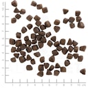 Vorschaubild WOLFSBLUT Cold River Small Breed Forelle mit Süßkartoffel Hundetrockenfutter