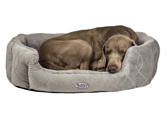 Nobby Komfortbett CENO 65 x 57 x 22cm