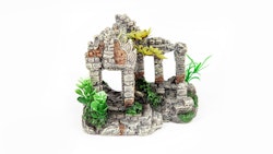 aquatlantis Steintor