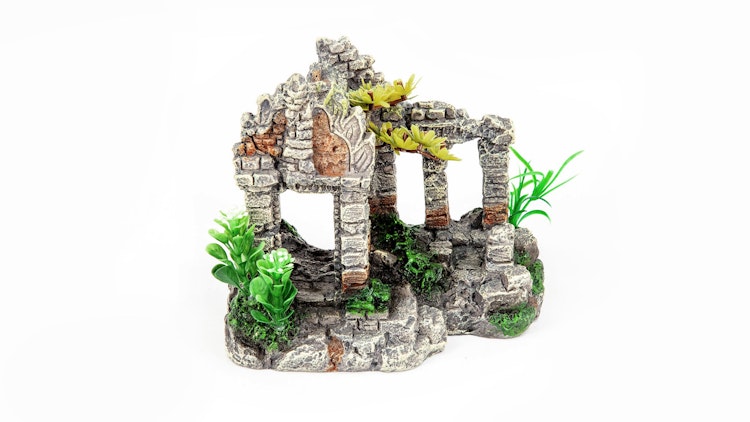 aquatlantis Steintor