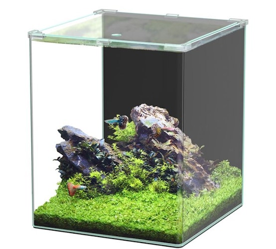 Aquatlantis Kubus Curve 65L LED - Basic