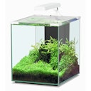 Vorschaubild Aquatlantis Nano Cubic 30 LED Aquarium-Set