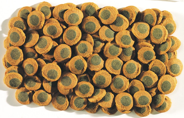 Tetra Pleco Multi Wafers 250ml