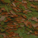 Vorschaubild Tropical Cichlid Color XXL