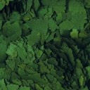 Vorschaubild Tropical Super Spirulina Forte 36% Fischfutter