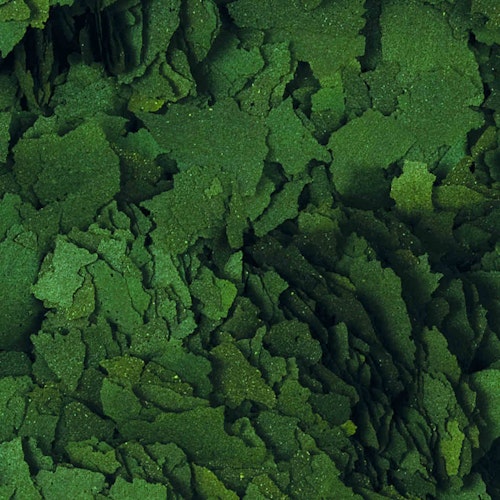 Tropical Super Spirulina Forte 36% Fischfutter