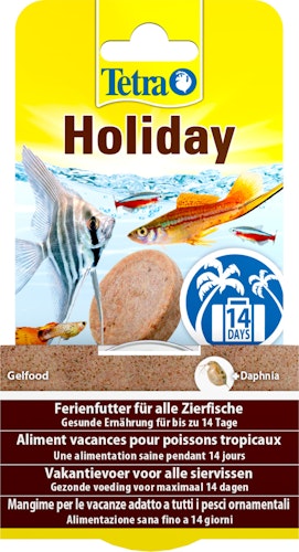Tetra Holiday