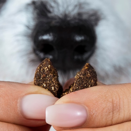 Tierliebhaber Chillout Drops