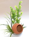 Vorschaubild Sydeco Jar Plant 35 Zentimeter Aquariendekoration
