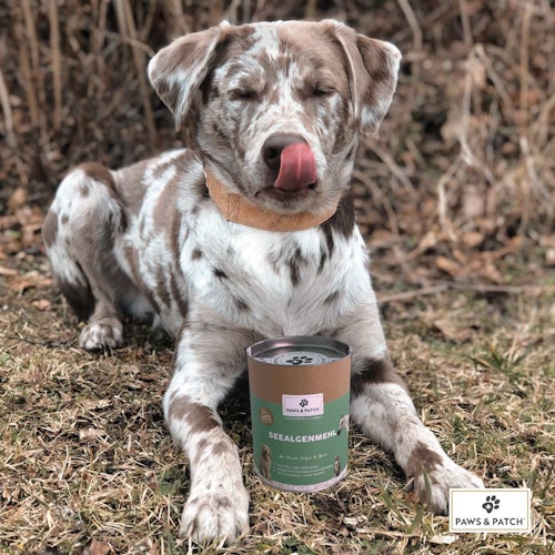 Paws&Patch SEEALGENMEHL 250g