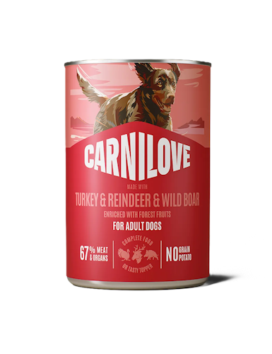 Carnilove Dog Paté 12 x 400g-Dose Hundenassfutter