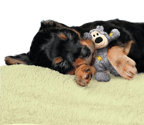 KONG Wild Knots Bär Hundespielzeug