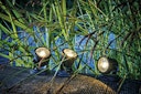 Vorschaubild Pontec Teich- und Gartenbeleuchtung PondoStar LED warm Set 3