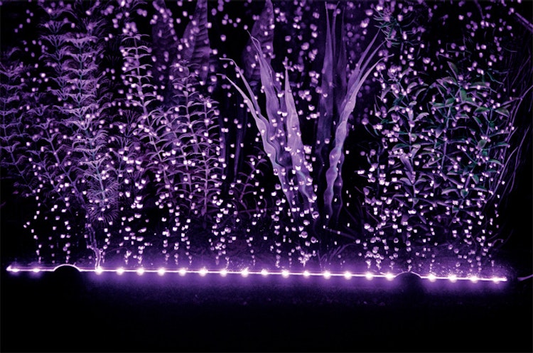 HOBBY Bubble Air LED colour & moon Aquarienbeleuchtung