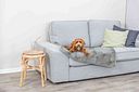 Vorschaubild TRIXIE Decke Levy, Plüsch, grau