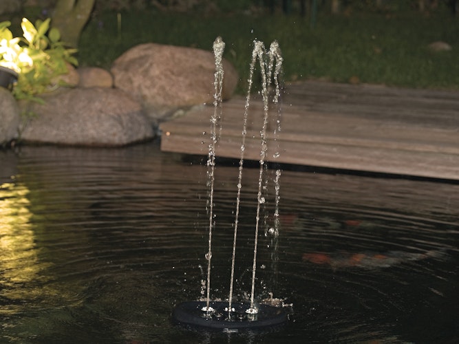 Oase Wasserspiel Water Starlet
