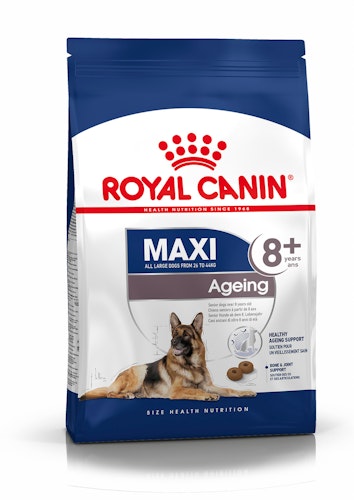 ROYAL CANIN SHN MAXI Ageing (8+) Hundetrockenfutter