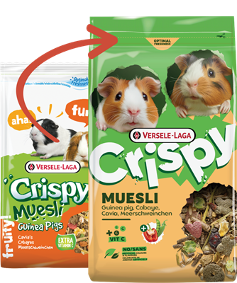 Versele CRISPY Müsli Meerschweinchen