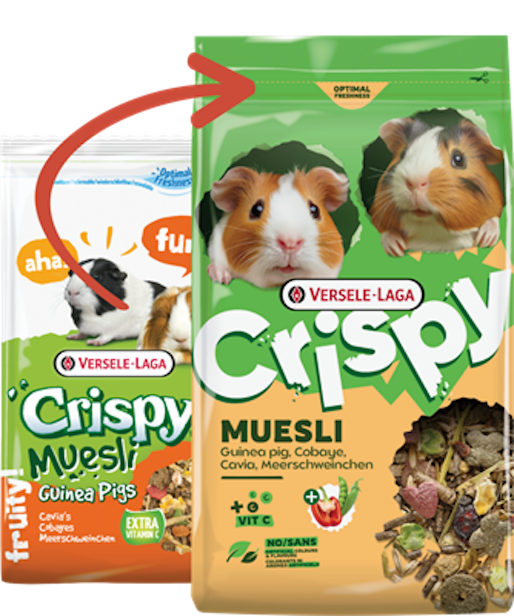 Versele 20kg CRISPY Müsli Meerschweinchen