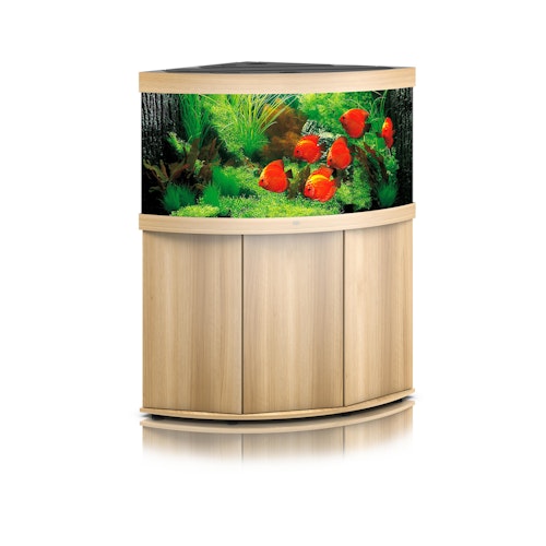 JUWEL Trigon 350 LED Aquarium mit Unterschrank