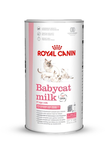 ROYAL CANIN FHN BABYCAT MILK 300g Spezialfutter für Katzen