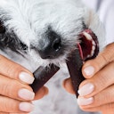 Vorschaubild Tierliebhaber Darmwohl Sticks