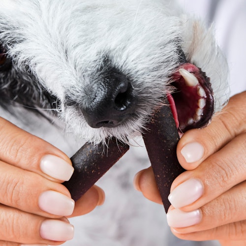 Tierliebhaber Darmwohl Sticks